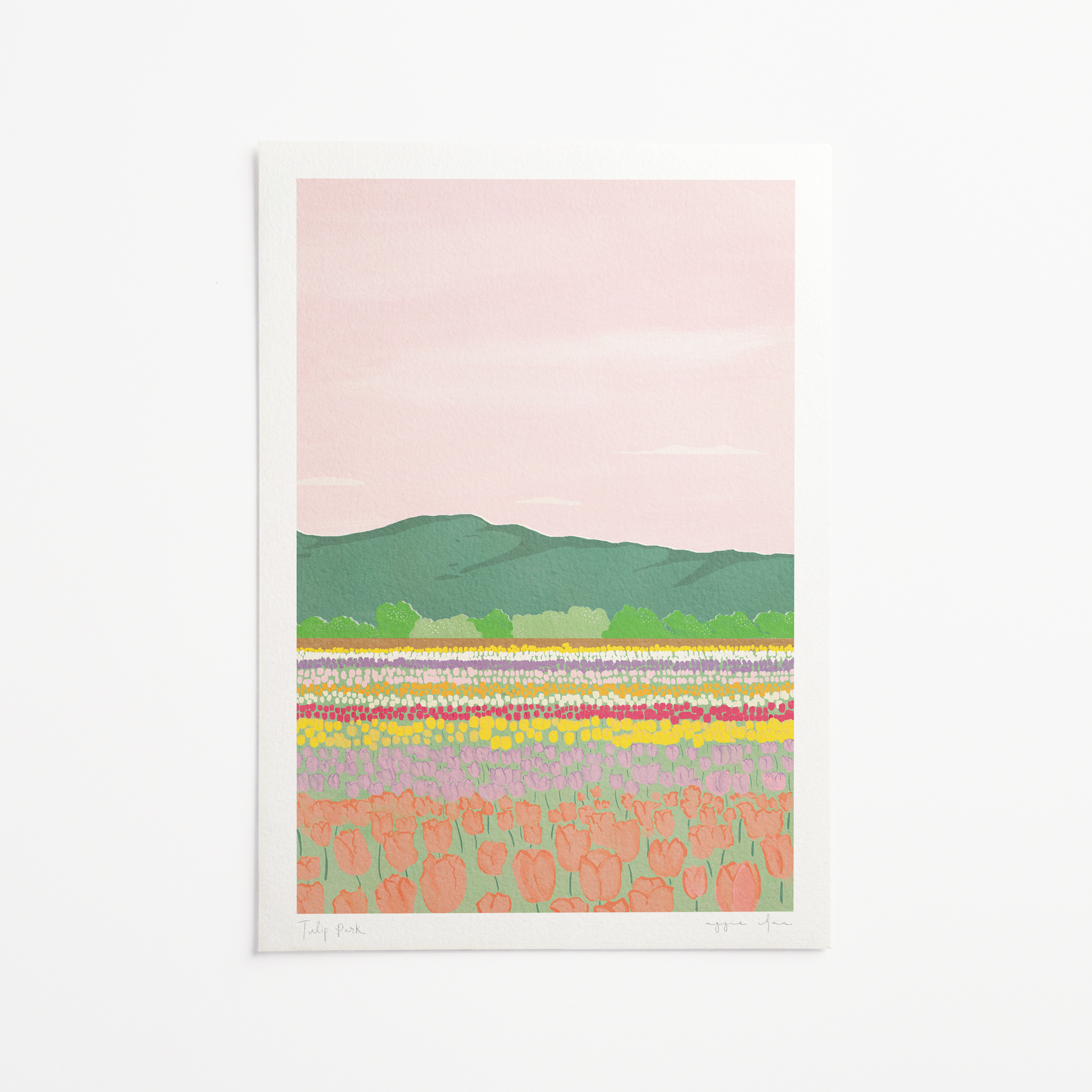 Tulip Park