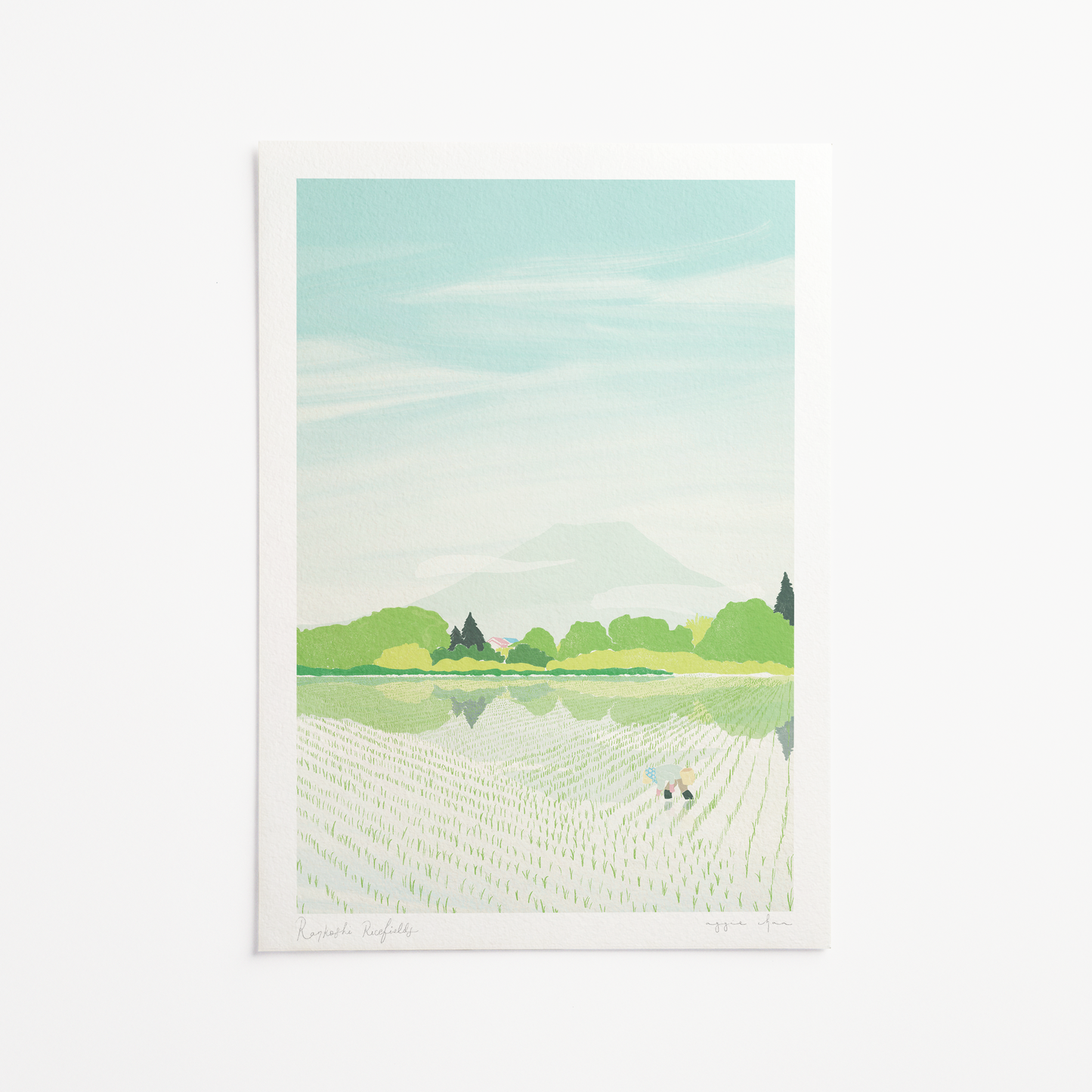 Rankoshi Ricefields